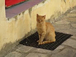 Ziros, Kreta, Crete.