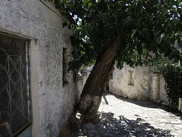 Ziros, Kreta, Crete.
