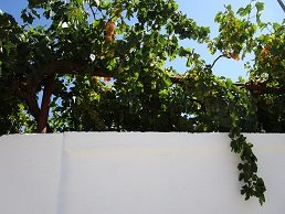 Ziros, Kreta, Crete.