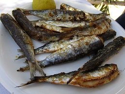 Taverna Dolphin, Xerokampos, Kreta, Crete.