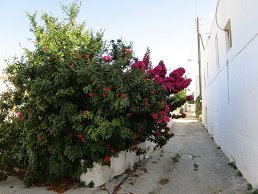 Vori, Lassithi, Kreta, Crete.