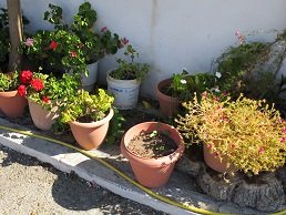 Sikia, Sykia, Lassithi, Kreta, Crete.