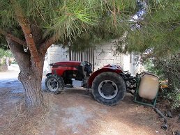 Achladia, Lassithi, Kreta, Crete.