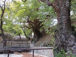 Paraspori spring, Lassithi, Kreta, Crete.