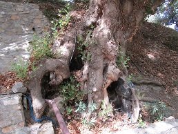 Paraspori spring, Lassithi, Kreta, Crete.