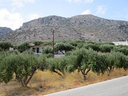 Lagkada, Lassithi, Kreta, Crete.