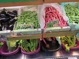 Aroni, Kreta, Crete.