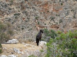 Katholiko Monastery, Kreta, Crete.