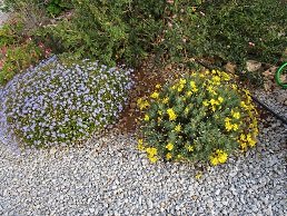 Villa Nisi in Agia Galini, Crete, Kreta