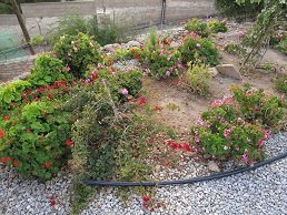 Villa Nisi in Agia Galini, Crete, Kreta