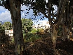 Apodoulou, Crete, Kreta