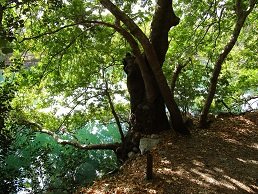 Zaros, Crete, Kreta