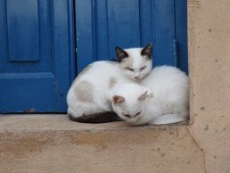 Vori, Voroi, Crete, Kreta