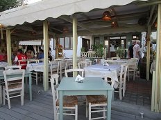 The Olive Tree / Elia Taverna - Makrigialos, Kreta, Crete.