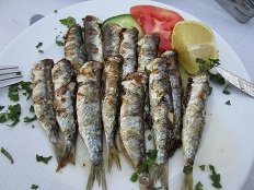 The Olive Tree / Elia Taverna - Makrigialos, Kreta, Crete.