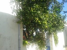 My house in Crete, mijn huis op Kreta