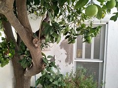My house in Crete, mijn huis op Kreta
