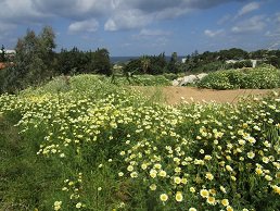Agia Pelagia, Crete, Kreta
