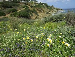 Agia Pelagia, Crete, Kreta