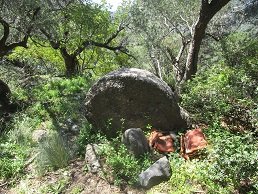 Psychro, Crete, Kreta