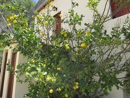 Agios Ioannis, Lasithi, Crete, Kreta