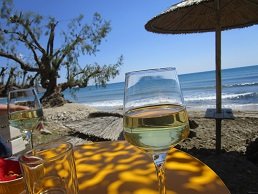 Coukos Island Cafe Snackbar Creperie - Analipsi, Makrigialos, Lasithi, Crete, Kreta