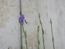 Tourloti, Crete, Kreta