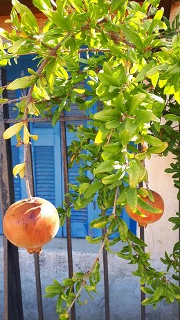 Lefkochori, Lefkohori, Heraklion, Kreta, Crete