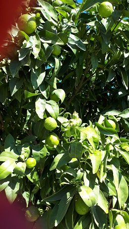 Lefkochori, Lefkohori, Heraklion, Kreta, Crete