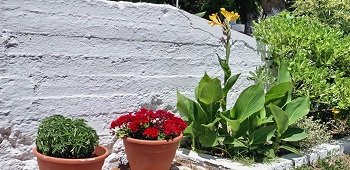 Pano sto Kyma Studios & Apartments, Agios Issodoros, Plomari Lesbos