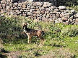 Limnos, Lemnos, Griekenland, Greece
