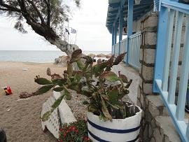 Milos Paliochori Beach
