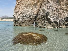 Milos, Firiplaka Beach