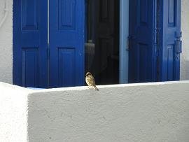 Milos, Soultana Apartments, Rooms and Studios in Pollonia