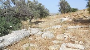 Naxos