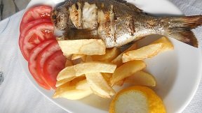 Restaurant Apollon - Apollonas, Naxos