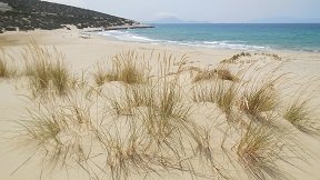 Naxos beach