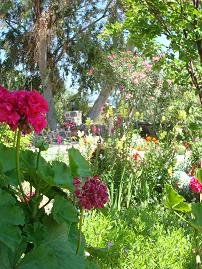 Mammis Apartments in Pali, Nisyros Greece, Griekenland
