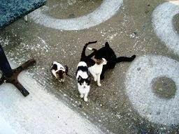 Nisyros Greece, Griekenland