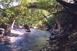 Olympia Peloponnese Greece, Peloponnesos Griekenland