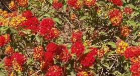 Stoupa, Peloponnese Greece, Peloponnesos Griekenland