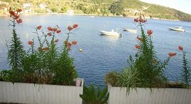 Nikoleri Studios & Apartments in Lefokastro, Pilion, Pelion, Greece, Griekenland