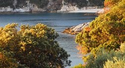 Milopotamos, Pilion, Pelion, Greece, Griekenland