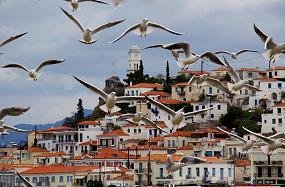 Copyright � Alkyoni Hotel, Poros