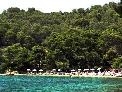 Copyright � Alkyoni Hotel, Poros