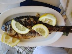 Rafina, Taverna Sandanisi