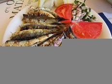 Rafina, Taverna Sandanisi