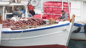 Rafina