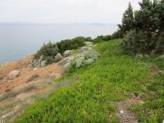 Rafina