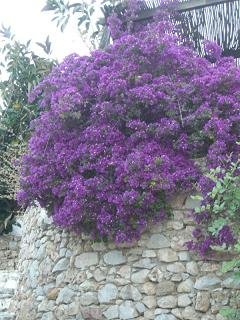 Donoussa
